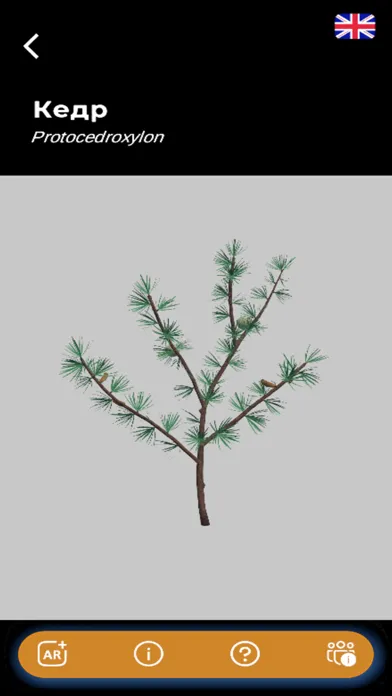 تصاویر Paleogarden
