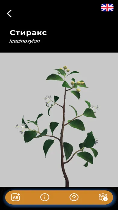 تصاویر Paleogarden