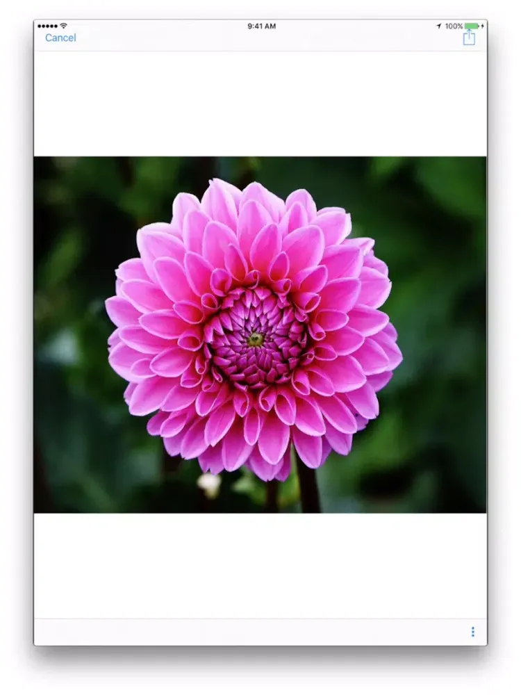 Ảnh chụp màn hình của Pigmentum iPad 