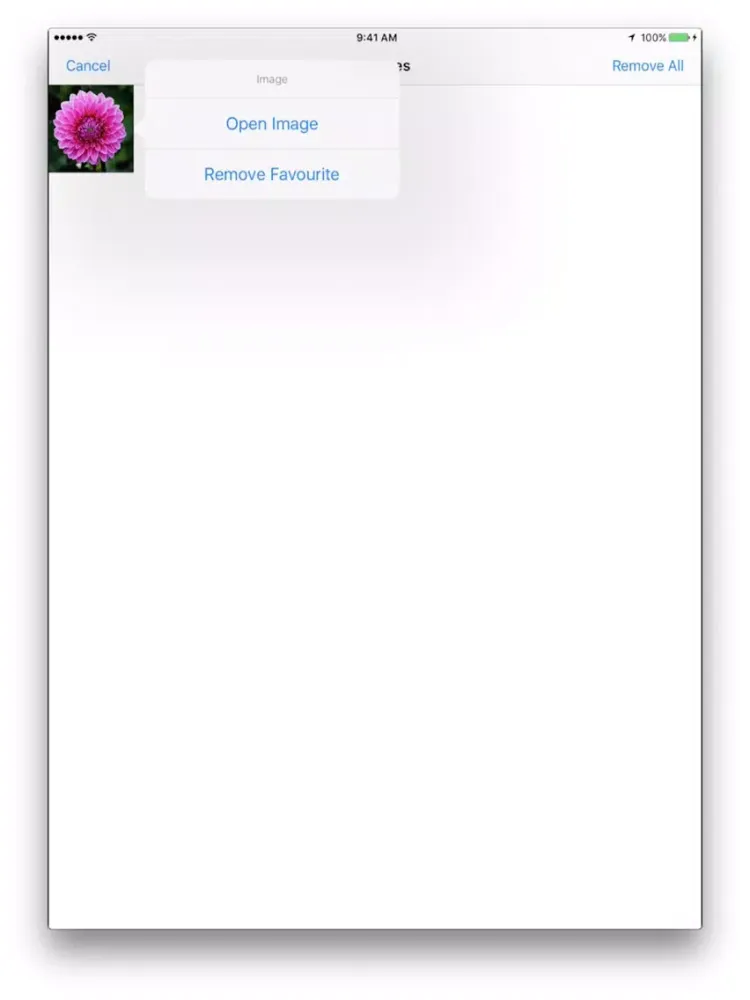 Ảnh chụp màn hình của Pigmentum iPad 
