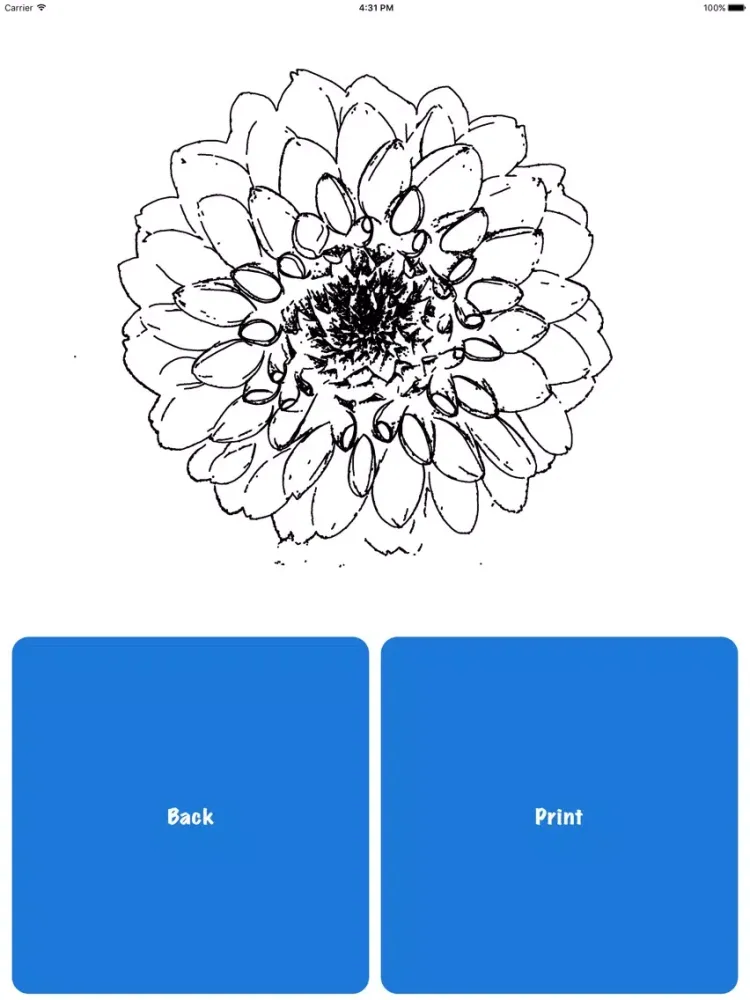 Pigmentum Mini iPad 应用截图