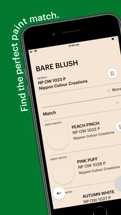 Скриншоты Nippon Paint Pico