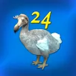 DoDo - Game "24" with extras DoDo - Game "24" with extras