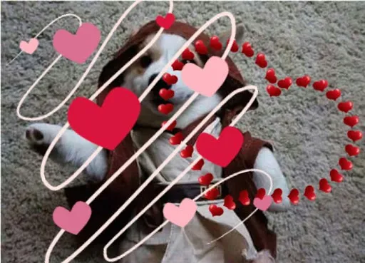 Capturas de pantalla de Love & romantic photo stickers