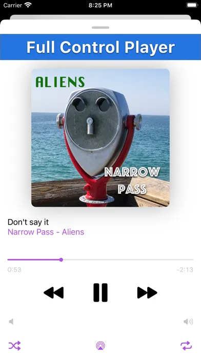 Tangkapan layar Palm Music Player