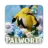 Palworld