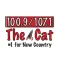 The Cat Albany
