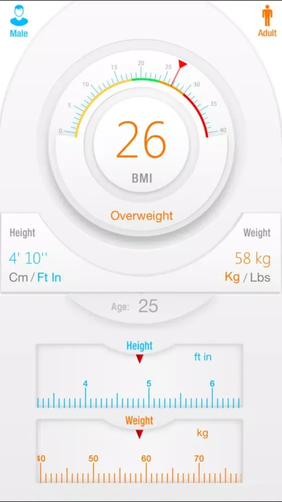 Tangkapan skrin BMI+