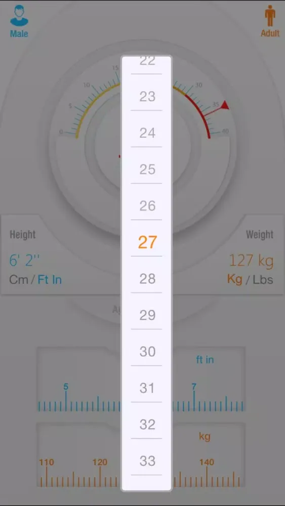 Tangkapan skrin BMI+