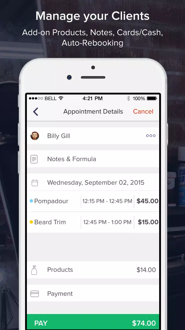 goPanache All-In-One Business Screenshots