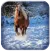 Horse Wallpaper HD