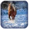 Horse Wallpaper HD