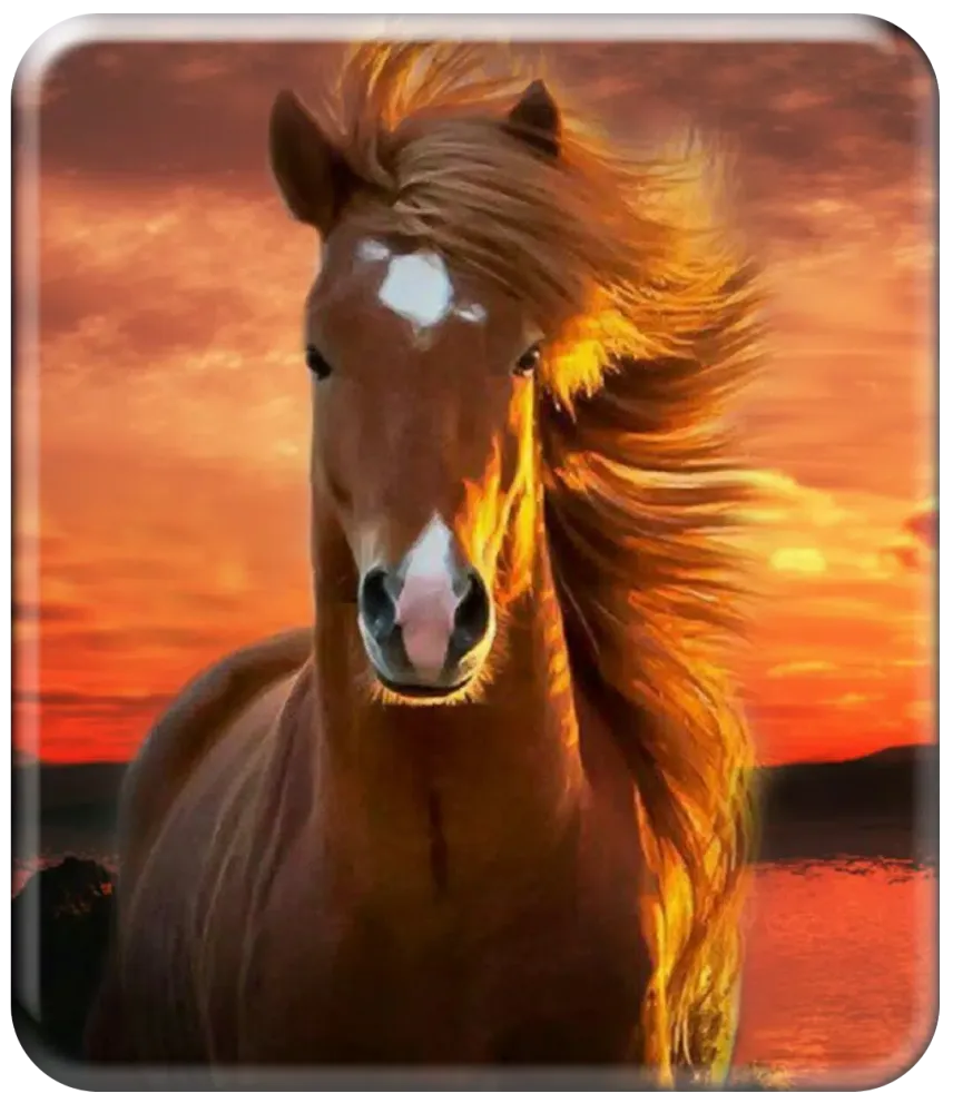 Horse Wallpaper HD 스크린샷