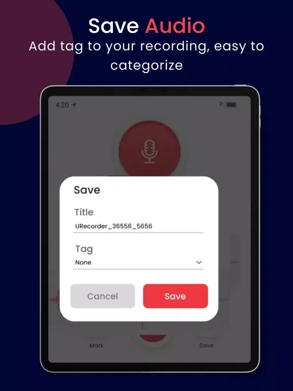 تصاویر Microphone Recording iPad 