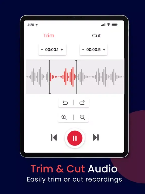 تصاویر Microphone Recording iPad 