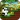 Panda Run
