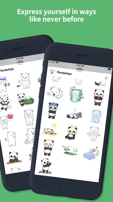 Screenshot di Panda and pola