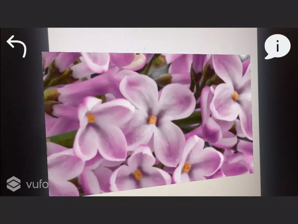 AR Floral iPad  Ekran Görüntüleri