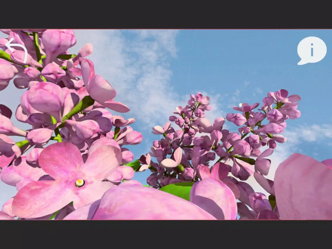 AR Floral iPad  Ekran Görüntüleri