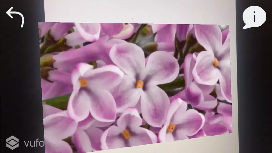 AR Floral Ekran Görüntüleri