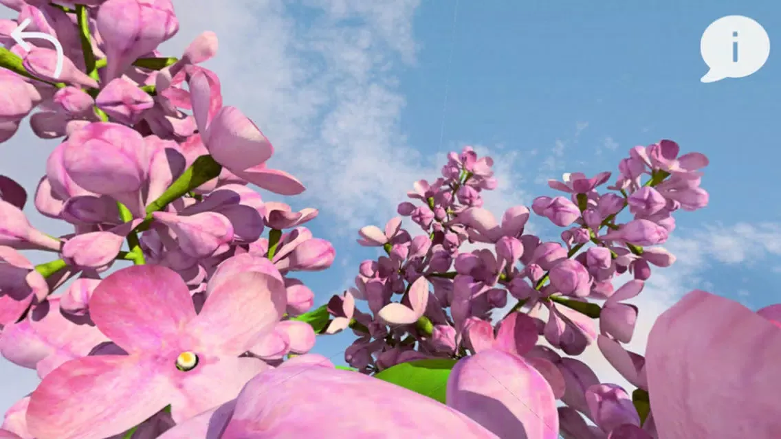 AR Floral Ekran Görüntüleri