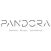 Pandora Reality VR Player