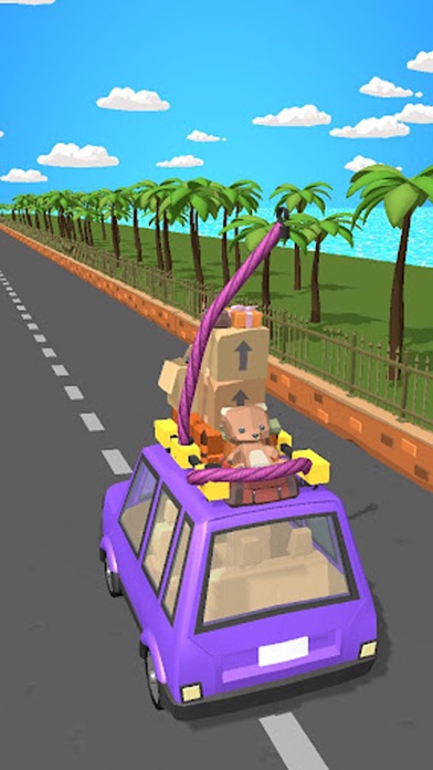 صور Packed Car