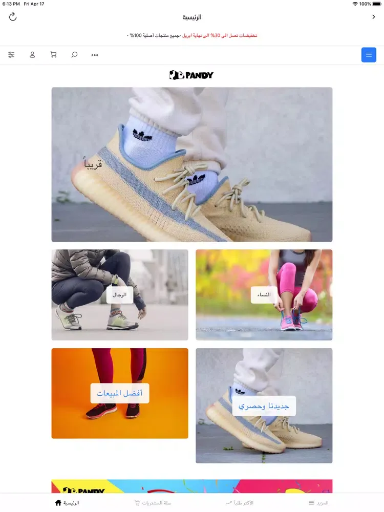 متاجر باندي - Pandy stores iPad  스크린샷