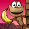 Monkey Bongo