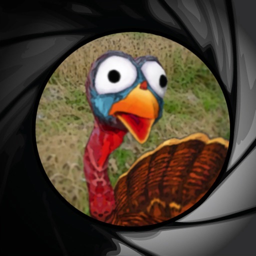 Jive Turkey Shoot Jive Turkey Shoot