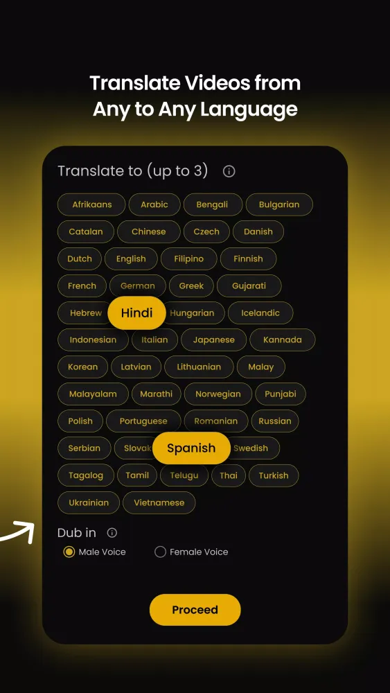 Panini Translate Screenshots