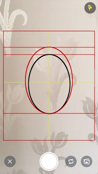 Capturas de pantalla de Foto Biometrik