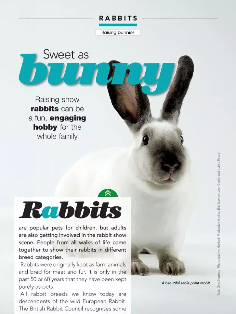 Ảnh chụp màn hình của Animaltalk Interactive Magazine iPad 
