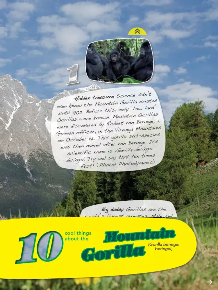 Ảnh chụp màn hình của Animaltalk Interactive Magazine iPad 