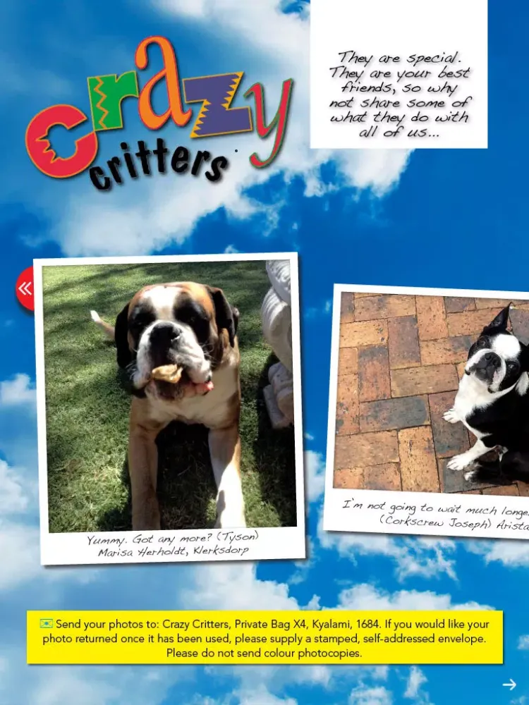 Ảnh chụp màn hình của Animaltalk Interactive Magazine iPad 