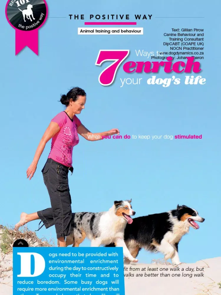 Ảnh chụp màn hình của Animaltalk Interactive Magazine iPad 