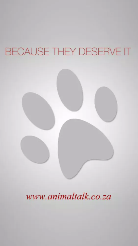 Ảnh chụp màn hình của Animaltalk Interactive Magazine