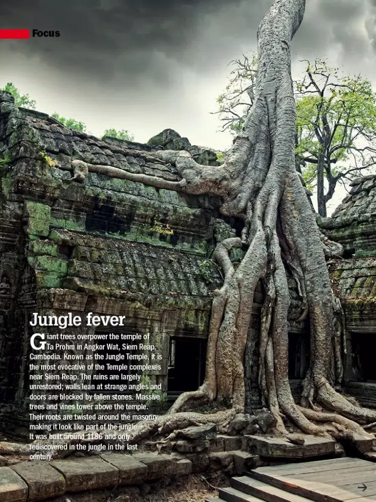 Ảnh chụp màn hình của Braintainment Magazine: Quest for knowledge iPad 