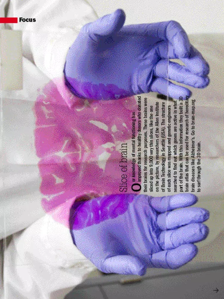 Ảnh chụp màn hình của Braintainment Magazine: Quest for knowledge iPad 
