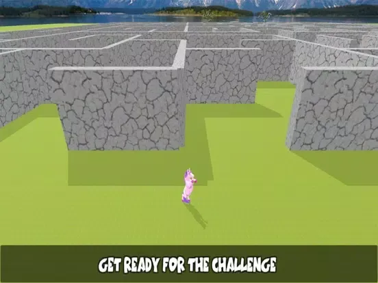 تصاویر Pony Horse Maze Run iPad 
