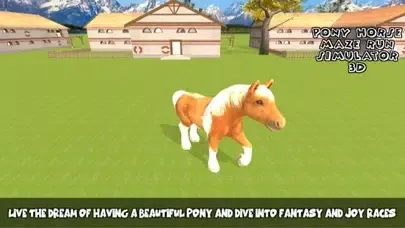 تصاویر Pony Horse Maze Run