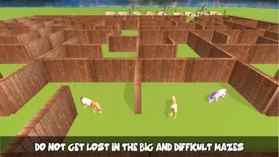 تصاویر Pony Horse Maze Run