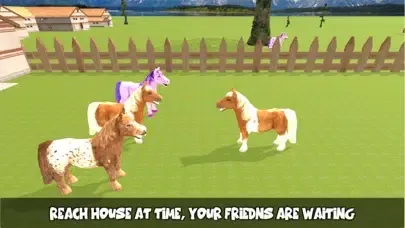 تصاویر Pony Horse Maze Run