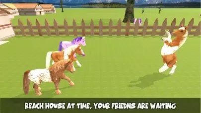 تصاویر Pony Horse Maze Run