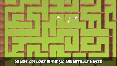 تصاویر Pony Horse Maze Run