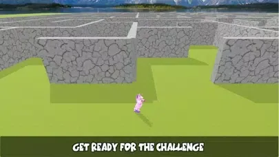 تصاویر Pony Horse Maze Run