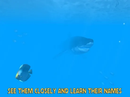 Скриншоты VR Ocean Aquarium 3D iPad 