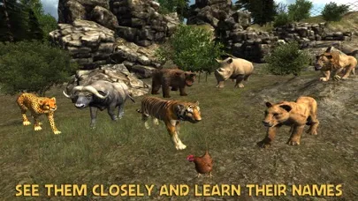 ภาพหน้าจอของ VR Zoo Safari