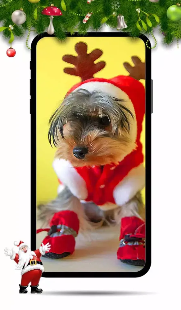 Capturas de pantalla de Christmas Wallpaper