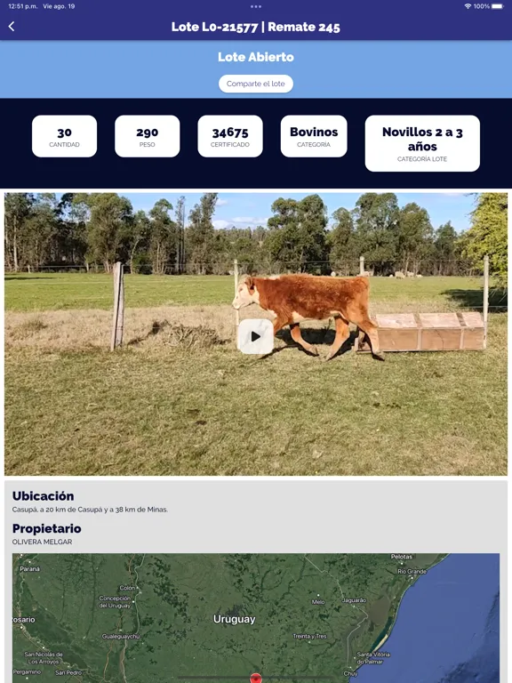 Pantalla Uruguay Remates iPad  Screenshots
